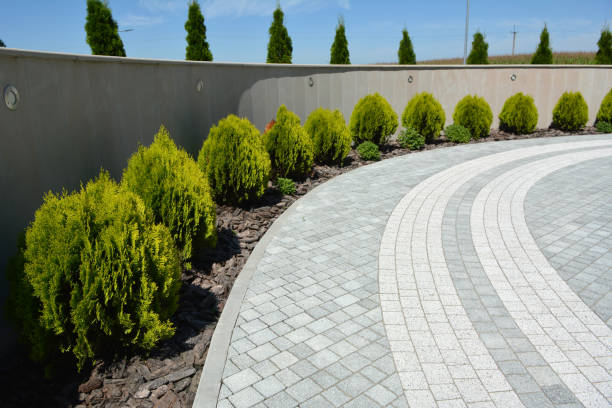 Best Residential Paver Driveway  in Brownsville, LA